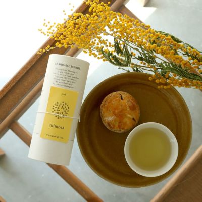 限定品】38灯 38explore mimosa ミモザ - メルカリ
